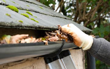 gutter cleaning Chard Junction, Somerset